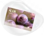 ILIA煙彈 多肉葡萄