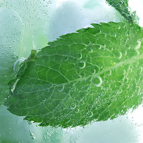 ILIA煙彈 激情薄荷